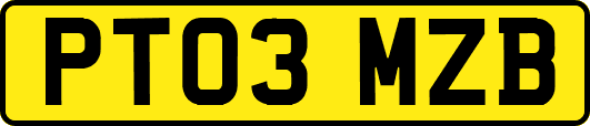 PT03MZB