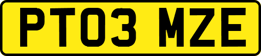 PT03MZE