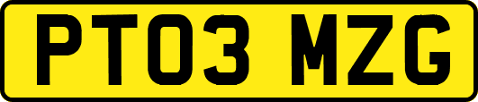 PT03MZG