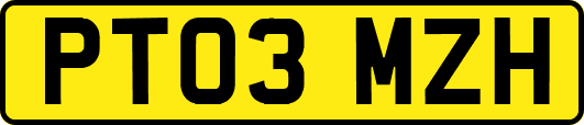 PT03MZH