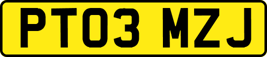 PT03MZJ