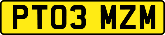 PT03MZM