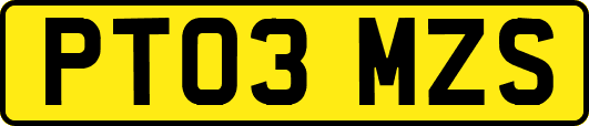 PT03MZS