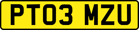PT03MZU