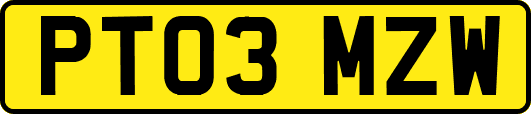 PT03MZW