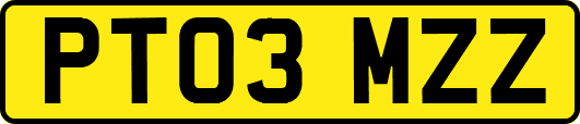 PT03MZZ