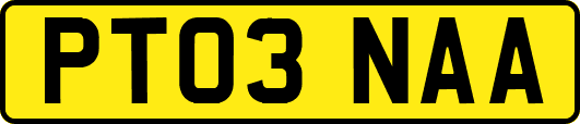 PT03NAA