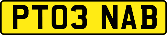 PT03NAB