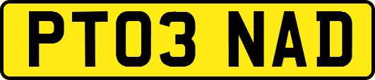 PT03NAD