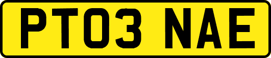 PT03NAE