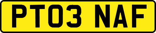 PT03NAF