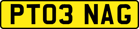 PT03NAG