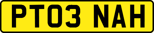 PT03NAH