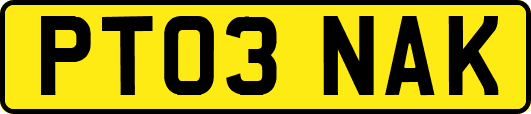 PT03NAK