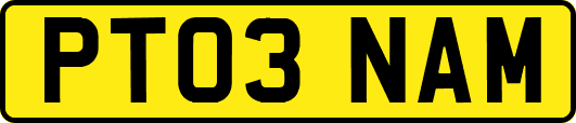 PT03NAM
