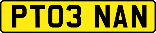 PT03NAN