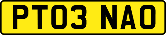 PT03NAO