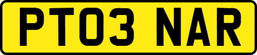 PT03NAR