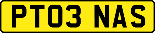 PT03NAS