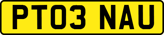 PT03NAU