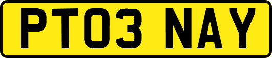 PT03NAY