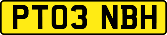 PT03NBH