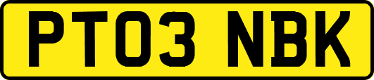 PT03NBK