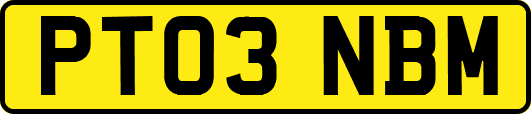 PT03NBM
