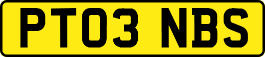 PT03NBS