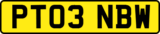 PT03NBW