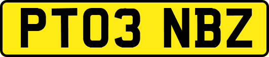 PT03NBZ