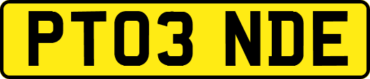 PT03NDE