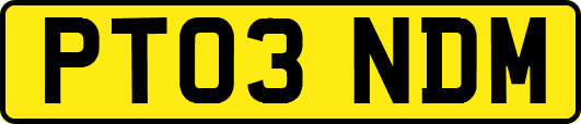 PT03NDM