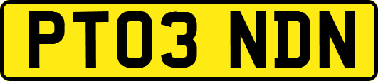 PT03NDN