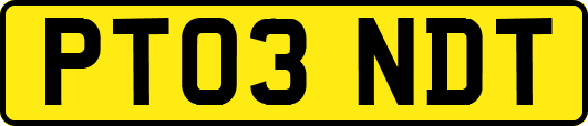 PT03NDT