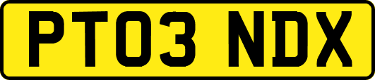 PT03NDX