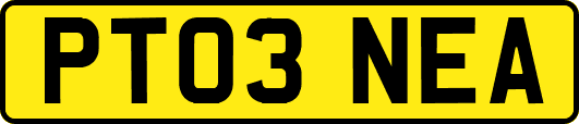 PT03NEA