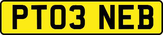 PT03NEB