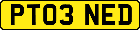 PT03NED