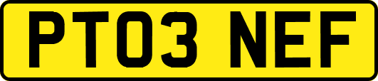 PT03NEF