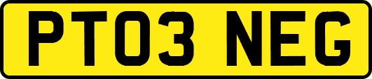 PT03NEG