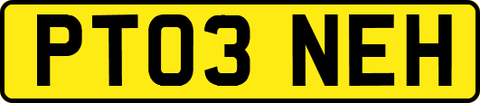 PT03NEH