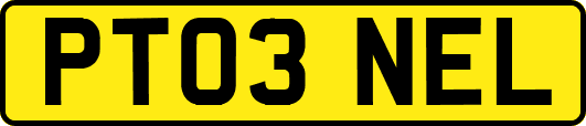 PT03NEL