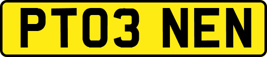 PT03NEN
