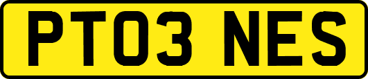 PT03NES