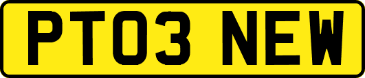 PT03NEW