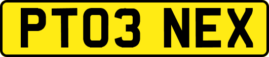 PT03NEX