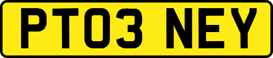 PT03NEY