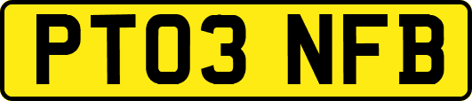 PT03NFB
