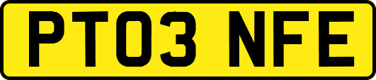 PT03NFE